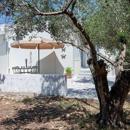 In Einem Olivenhain In Strandnaehe By Interhome *